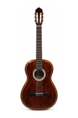 Torres Cg80 Masif Klasik Gitar 4/4 Profesyonel Gül Ağacı Konser Gitarı - 8697001481613