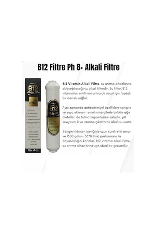 2" B12 Alkalin Filtre Su Arıtma Ph8+