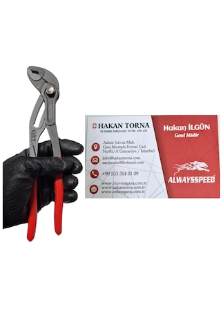 Pro 250mm Ayarlı Ford Pense Düğmeli Cr-v Papağan Pense