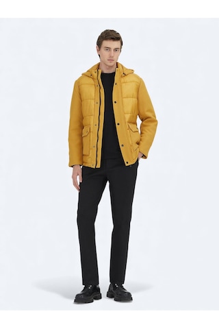 Kip Sarı Regular Fit Kapüşonlu Casual Dokuma Mont Sarı