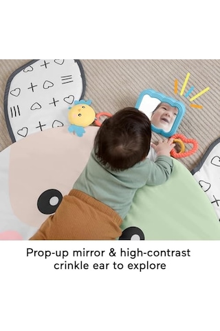 Fisher-price Yenidoğanlar İçin Karın Üstünde Oynama Oyuncağı, Sevimli Köpekçik Büyük Oyun Minderi Ve Duyusal Gelişim Aktiviteleri, Hyr51