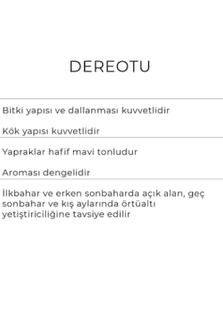 Dereotu Tohumu 10kg