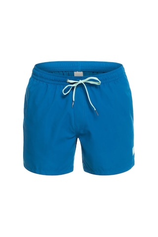 Quiksilver Everyday 15'' Erkek Yüzme Şortu 001
