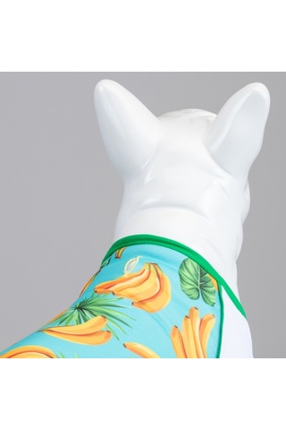Banana Küçük, Orta Ve Büyük Irk Köpek Tshirt