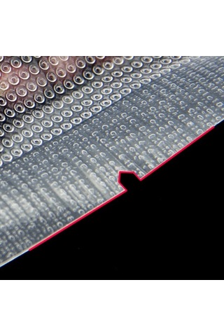 Pazly 100 Adet Vakumlu Saklama Poşeti - Gıda Depolama İçin Çeşitli Boyutlar