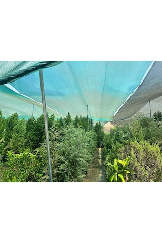 Gölgelendirme Filesi - 75lik Çit Filesi - Yeşil Renk - Düz Kenarlı