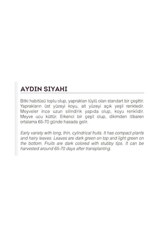 AGRodal Tarım Ata Tohumu Yöresel Patlıcan Aydın Siyahı 100 Adet Tohum