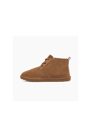 Bot Erkek 3236 Ugg M Neumel Chestnut Taba Null Kahverengi