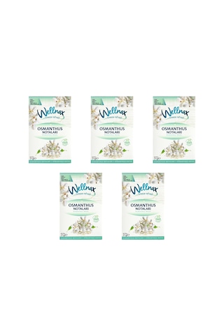 Wellnax Dolap ve Çekmece Kokusu Osmanthus Notaları Kesesi 5 x 21 G