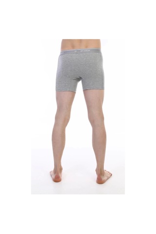 Çift Kaplan 880 Elastanlı Erkek Boxer 001