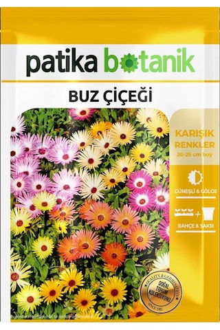 50 Adet Buz Çiçeği Tohumu