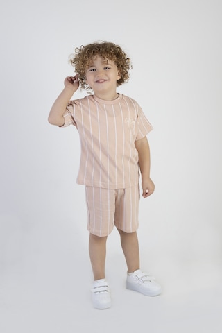 Erkek Çocuk Cool Boys Baskılı Çizgili Kısa Kollu Şortlu Alt Üst Takım 001