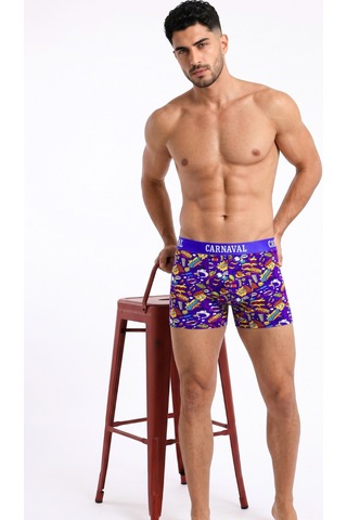 Carnaval Socks Çizgi Roman Desenli Erkek Boxer Pamuklu Likralı Parlak Lastikli Kutulu Çok Renkli Çoklu