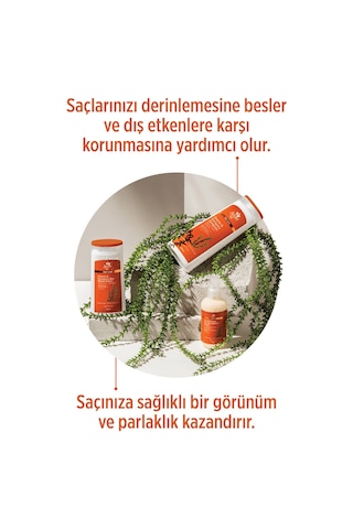 Selesta Life Atkuyruğu Bitki Özü Ve Provitamin B5 Özlü 3'lü Onarıcı & Koruyucu Saç Bakım Seti Yıpranmış Saçlar