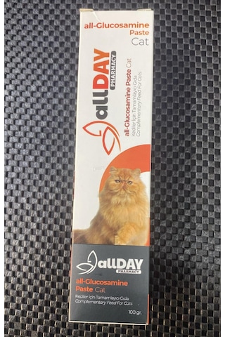 Allday All-glucosamine Paste Kediler İçin 100 G.