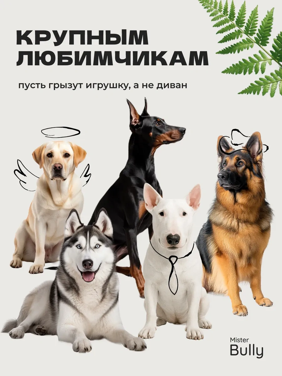 Misterbully Büyük Irk Köpekler İçin Dayanıklı Cırtlak Oyuncaklar 94175702