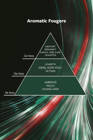 Snob After Dark Erkek Parfüm EDT 100 ML + After Dark Erkek Sprey Deodorant 150 ML