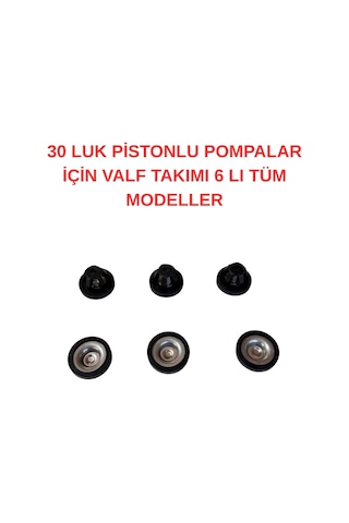 Adige Pistonlu Pompalar İçin Valf Takımı Vt-30 6 Adet