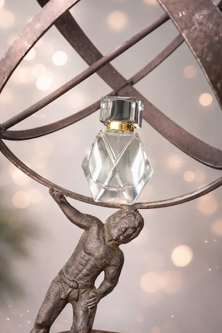Ladiagos Crystal Bloom Çiçek - Meyve