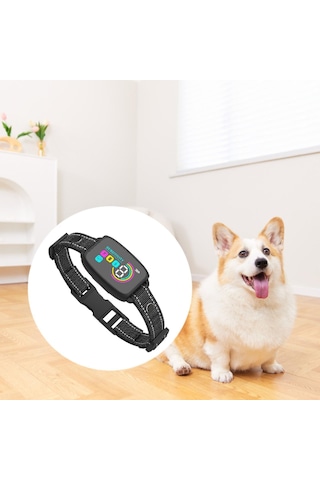 Homyl Yavru Küçük Orta Büyük Köpekler Için Şarj