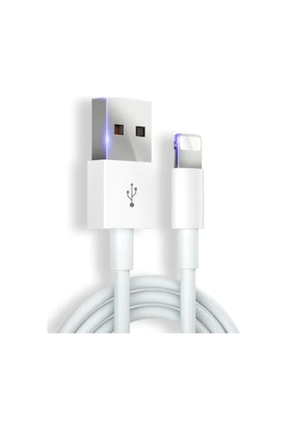 Şarj Aleti Kablosu 1M Lightning USB
