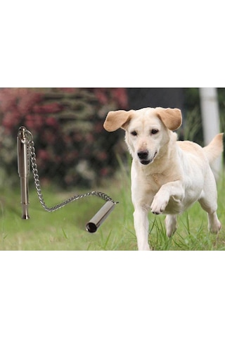 Suntek Köpek Eğitim Düdüğü Ultrasonik Paslanmaz L-8.7x0.7cm