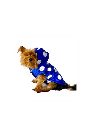 Kemique Mega Dots Blue Kapşonlu Köpek Yağmurluğu