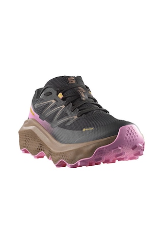 Salomon Ultra Flow 2 Gtx Kadın Outdoor Koşu Ayakkabısı L47884400 Siyah Siyah