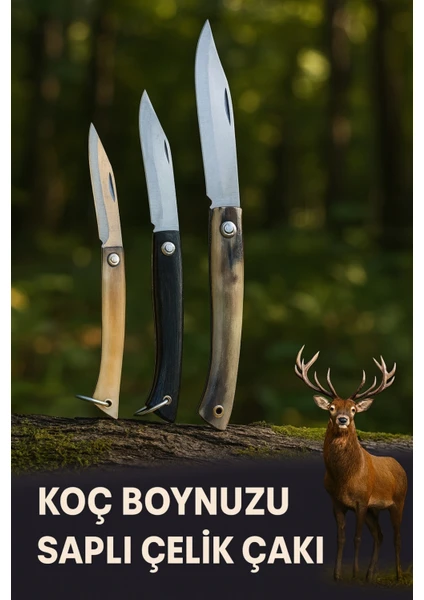 Koç Boynuzu Saplı Çelik Çakı 3 No Bej - Gri