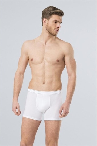 Türen 174 Likralı Boxer-Beyaz - M Beyaz