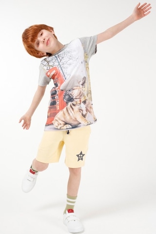 Brz Kids Dijital Baskılı Erkek Çocuk Kısa Kollu T-Shirt Çok Renkli (535266515) Çok Renkli