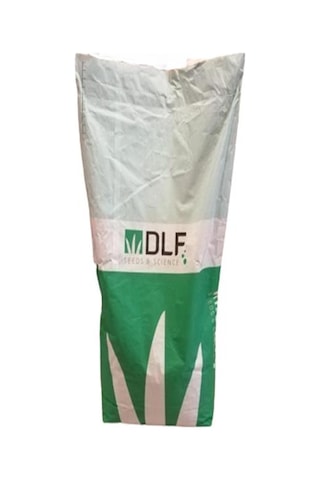 Üçgül Tohumu500 GR Süs Yoncası Trifolium Repens
