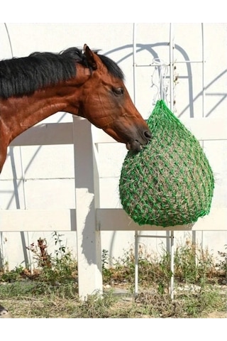 Trendooze Gaojunshop01 Mavi Yavaş Yemlik Ağı, Dayanıklı Nylon İp, At Ve Koyun İçin