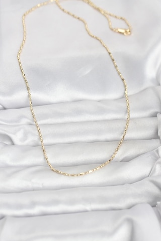 Cm 14k Gold Renk Zincirli 60 Cm Kadın Kolye - Tj-bko10938 Gümüş