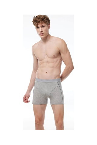 Malabadi 017 Erkek Biyeli Modal Boxer-Gri