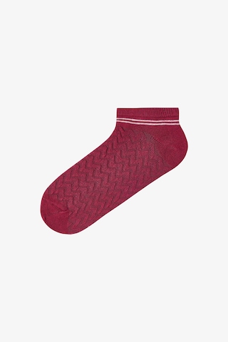 Penti Beyaz Gri Stripe Jacquard 5'li Patik Çorap