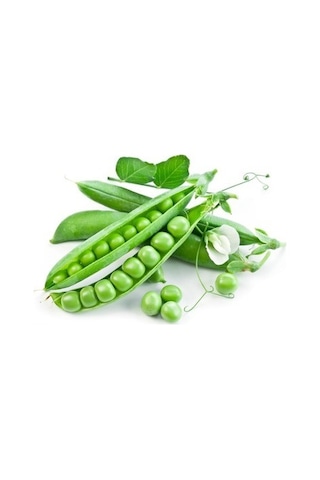 Bt Rondo Utrillo Bezelye Tohumu 500 GR