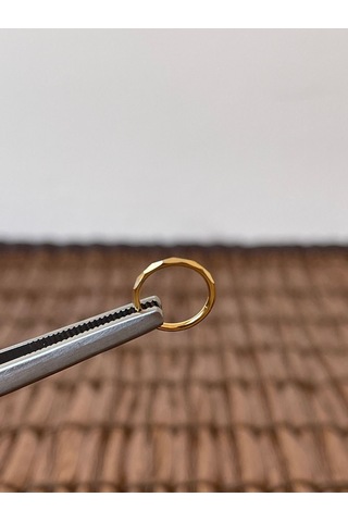 316 L Cerrahi Çelik Anti Alerjik Kesme Baklava 10 Mm X 1.2mm Altın Kilitli Halka Piercing Gümüş