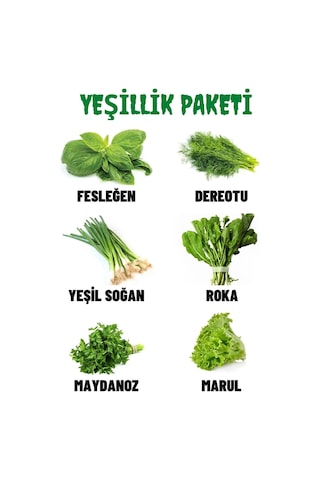 Fesleğen, Dereotu, Soğan, Roka, Maydanoz, Marul 60 GR