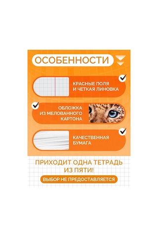 Calligrata Kurbağalar Not Defter 48 Yaprak 453831949