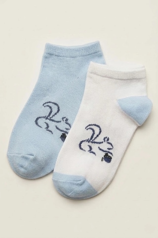 Cocole Socks Erkek Çocuk Patik Çorabı 2 Li Set Beyaz & Mavi Sincap Desenli Çok Renkli