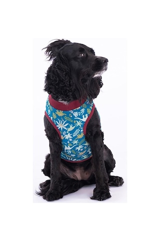 Pawstar Dino Küçük Irk Köpek Penye T-shirt