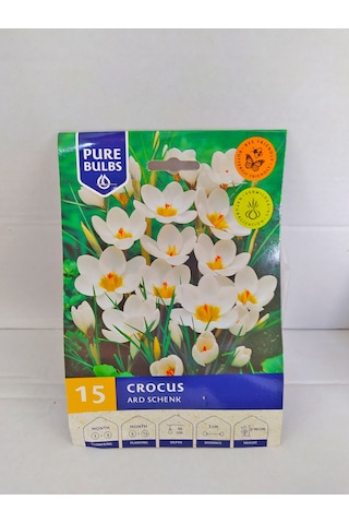 Crocus Ard Schenk Çiğdem Soğanı 15 Adet