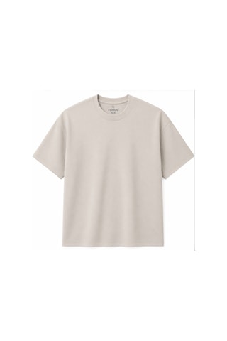 Ranud Erkek Oversize Fit 2'li Tişört Paketi,%100 Pamuk, Yumuşak Fırçalı Kumaş, Oeko-tex Sertifikalı Taş + Ekru