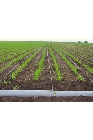 DAMLAMA SULAMA BORU SABİTLEME KAZIĞI KISA 15CM (100 ADET)