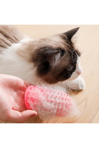 Pribor Kedi Köpek Köşe Kaşıyıcı Ve Tüy Temizleyici Aparatı 1 Adet