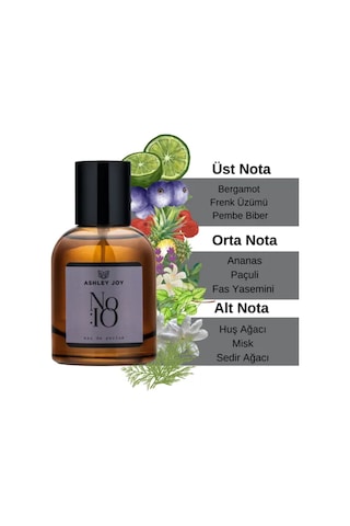 Ashley Joy No:10 Erkek Parfüm EDP 100 ML