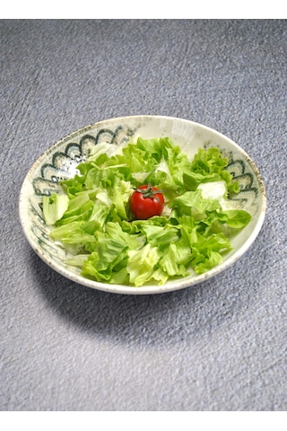 1 Adet Porselen Salata Çukur Sunum Servis Tabağı 25 Cm- Mezopotam