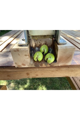 Kadıoğlu C2 Zeytin Kırma Aleti