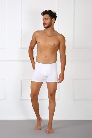 Akbeniz Erkek Büyük Beden Pamuklu Likralı Boxer Beyaz 40134